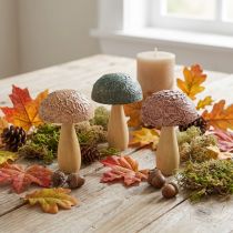 Product Wooden mushrooms decoration mushrooms autumn decoration wood assorted 11×7.5cm 3pcs