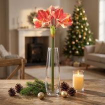 Product Artificial Amaryllis Pink and Cream – Large Stem Flower 76cm