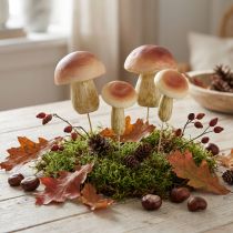 Product Decorative Mushrooms on Stick Small and Large Brown H10/11.5cm 8 pcs
