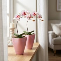 Product Flower pot, plastic vase, orchid pot, pink, 16.5cm high, 2 pieces