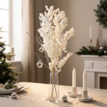 Product Feathered Asparagus Fern Dried Décor White 55-70cm 100g