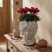 Product Bust made of cast stone sculpture woman planter antique H21.5cm