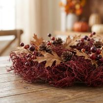 Product Tamarind Fiber Wine Red 500g - Natural decoration made from tamarind fiber for floristry