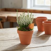 Product Flowerpot Clay Ø8cm high 7cm 10pcs