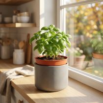 Product Plant pot plastic inner pot Ø10.5cm 10pcs