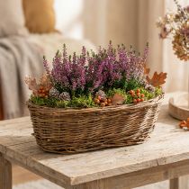 Product Bread basket approx. 30cm oval unpeeled