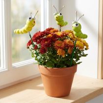 Product Wooden caterpillar on stick green, yellow 8cm 24 pcs