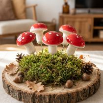 Product Decorative mushrooms to stick, fly agarics on wire Ø2.5cm 36 pcs