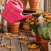 Product Pink watering can, 5l
