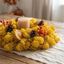 Product Reindeer Moss Yellow 400g