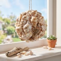 Product Decorative ball snail shells shells decoration hanging natural Ø12cm