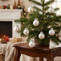 Product Mini Christmas balls glass white glossy/matte Ø2.5cm 22 pcs