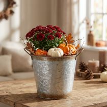 Product Decorative pot with handles, planting bucket, metal container, silver, weathered steel, Ø17cm H16.5cm