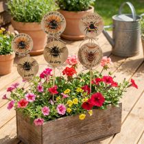 Product Garden stakes Wooden bee Decorative stake with funny sayings 7x27.5cm 12 pcs