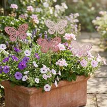 Product Garden stake butterfly metal pink H30cm 6pcs