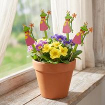 Product Flower Stakes Frog Prince Decorative wooden stakes 8cm 12 pcs
