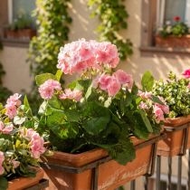 Product Geranium artificial flower Pink geranium bush artificial 7 flowers H38cm