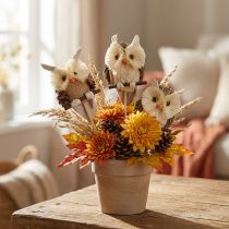 Product Owl decoration flower plug autumn decoration natural Ø4cm H8cm 4pcs