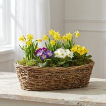 Product Oval Planter Basket Natural Wicker with Metal Base 40x19x11.5cm