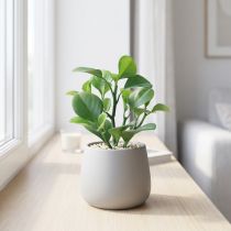 Product Artificial green plant succulent artificial green H14cm