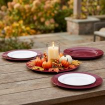 Product Versatile dark red plastic plates – 28 cm, perfect for decoration and outdoor use – 4 pieces