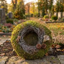 Product Moss Wreath with Mouse-Ear Herb Natural Ø30cm Green