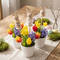 Product Flower Stick Rabbit Wood Natural, Brown, White L32cm 8 pcs