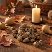 Product Acorn caps natural decorative acorns for crafting 1.5cm 200g