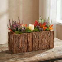 Product Pine Bark Wooden Planter Box 27×10cm for Indoor Decorations