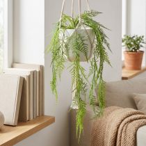 Product Artificial asparagus as a hanging plant for low-maintenance home decoration, 75cm
