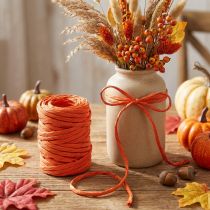Product Paper cord 6mm 23m Orange