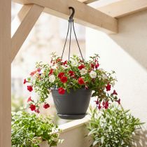Product Hanging basket Galicia Ø30cm anthracite