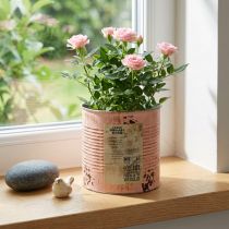 Product Flower pot decorative can salmon metal planter Ø15.5cm H15cm