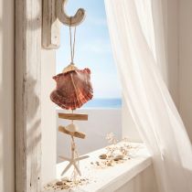 Product Maritime decorative hanger shell starfish Ø10–12cm 40cm