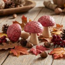 Product Wooden mushrooms decoration mushrooms table decoration autumn red natural 5×6cm 9pcs