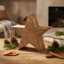Product Wooden decoration star decoration mango wood table decoration natural Ø20cm