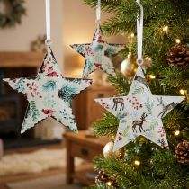 Product Christmas ornaments: star, deer, pine branches, berries, Ø8cm, set of 6 decorative hangers, Christmas tree ornaments
