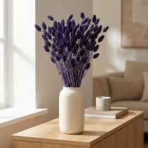 Product Phalaris Violet Dried Decorative Grass 50-55cm 100g