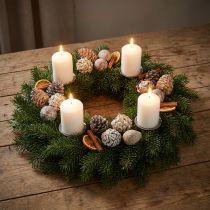 Product Exoten Cones Leucodendron White Washed 3-4cm 450g