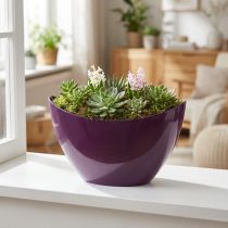 Product Plant boat decorative bowl purple 20×9cm H12cm