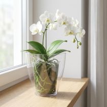 Product Orchid pot glossy Ø12.5cm Transparent 1 pc