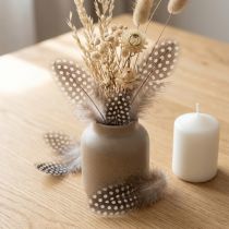 Product Guinea fowl feathers 10g Light brown
