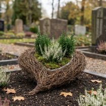 Product Plant bowl heart cemetery, vine heart for planting 26cm