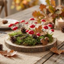 Product Mini toadstools on wire red white decorative mushrooms Ø2cm 48 pcs
