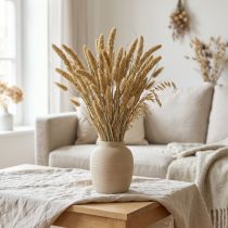 Product Dried flowers, millet decoration, Setaria (fox millet), 60g