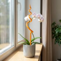 Product Orchid stake, plastic, orange, climbing aid for orchids, H64cm