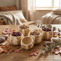 Product Pumpkin Decoration Bell Cup Pumpkin Cup bleached 50 pcs