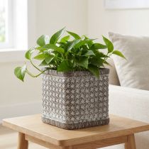 Product Planter Planter Ceramic Flowerpot 12×12×12cm