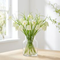 Product Checkered lilies Fritillaria artificial white, green 40cm 12 pcs