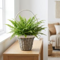 Product Wicker basket with handle, grey and white, Ø25 cm, H45 cm, decorative plant basket